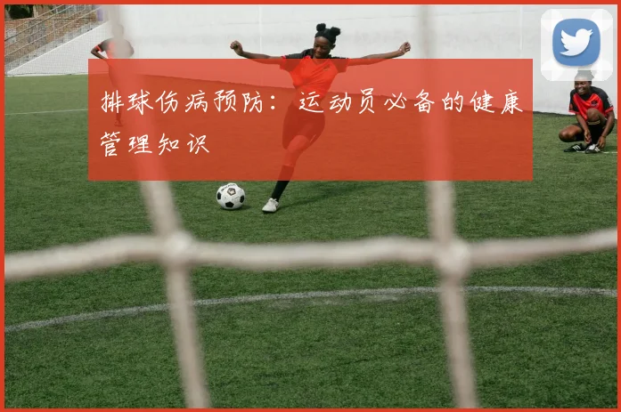 排球伤病预防：运动员必备的健康管理知识
